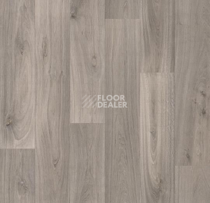 Линолеум Forbo Modul'up Compact Wood 8412UP43C grey silver oak фото 1 | FLOORDEALER